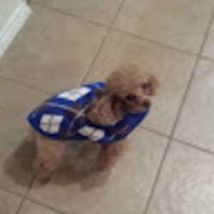 Meet your Posher, Kimberly